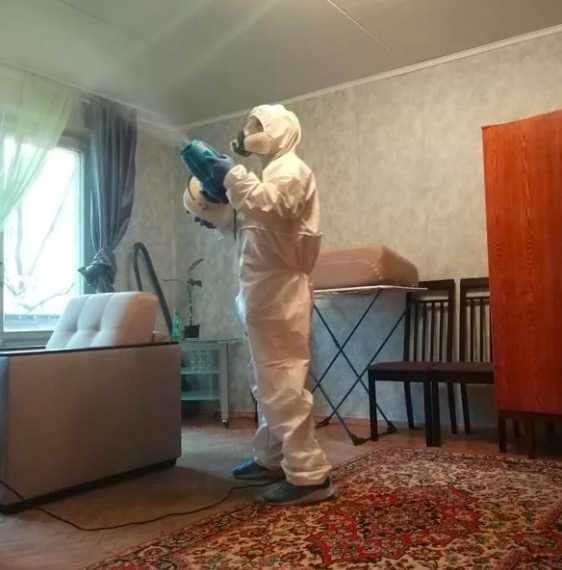 дезинсекция квартиры в Дмитриеве